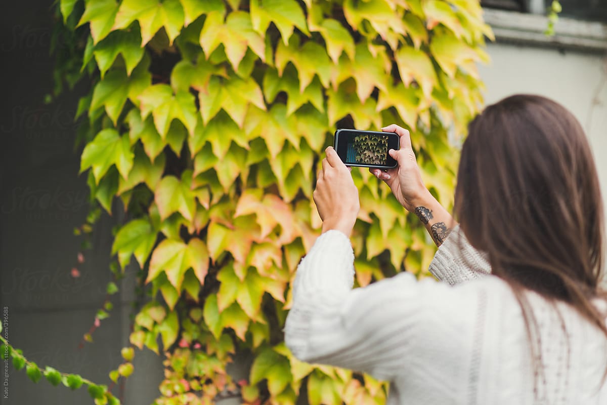 Young woman taking a photo of fall foliage on her smart phone.