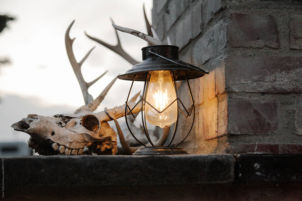 horizontal view of deer skull and lantern decor on fireplace