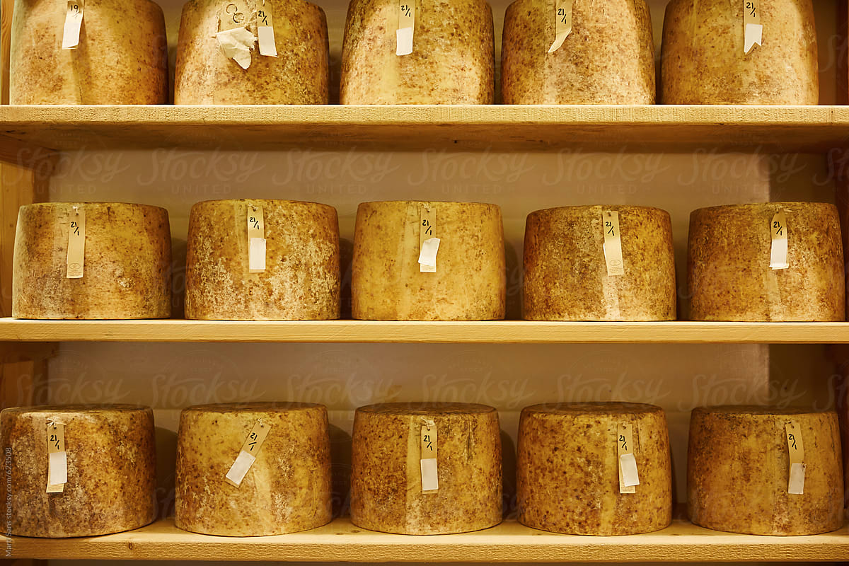 Shelved Lancashire cheeses