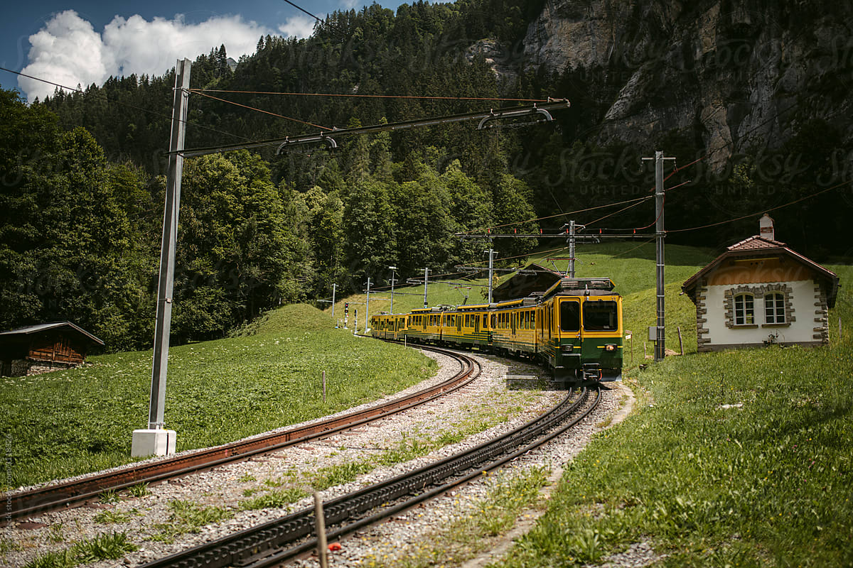 Train in green valley near mountains