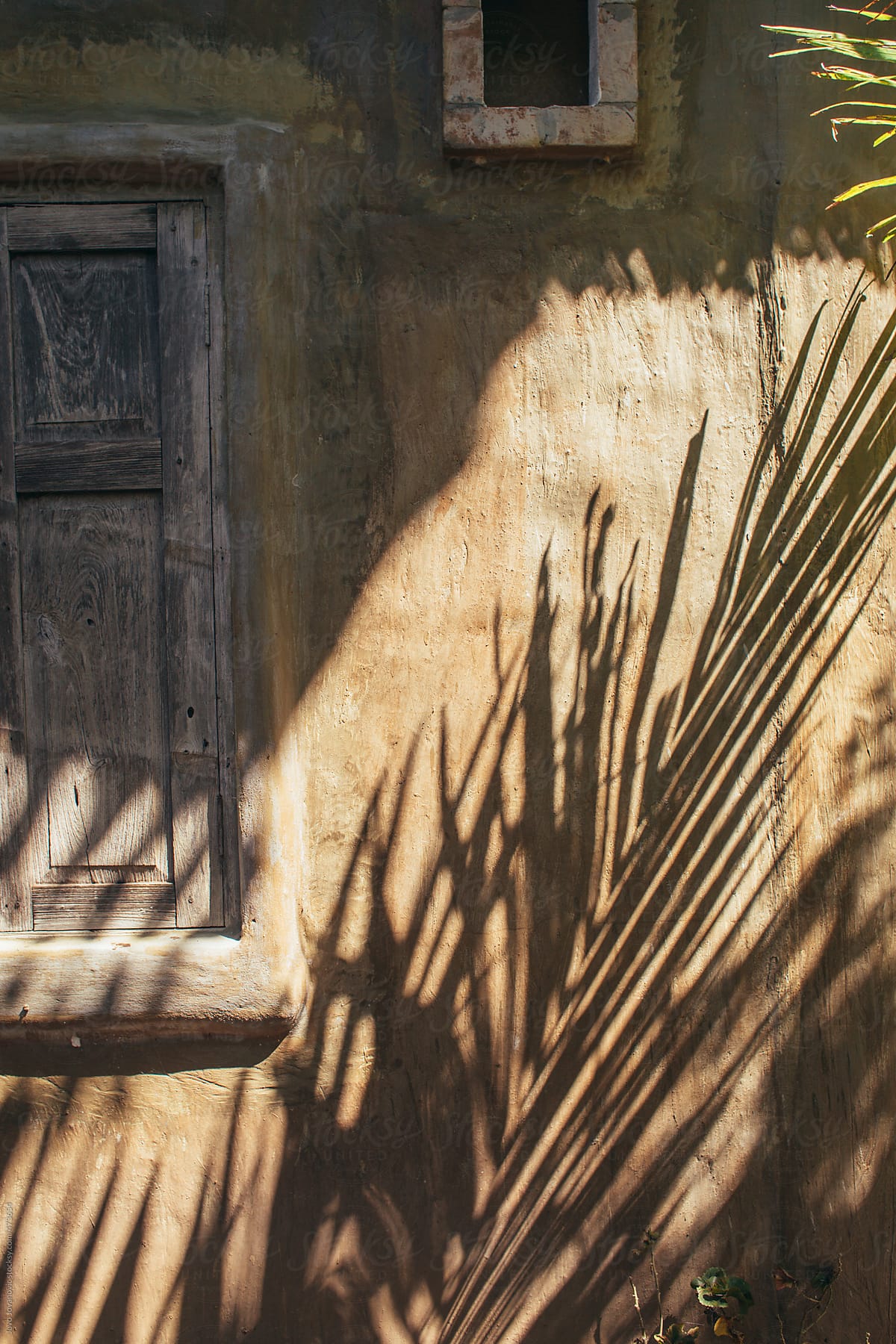 An old abstract wall with a shadow of a palm