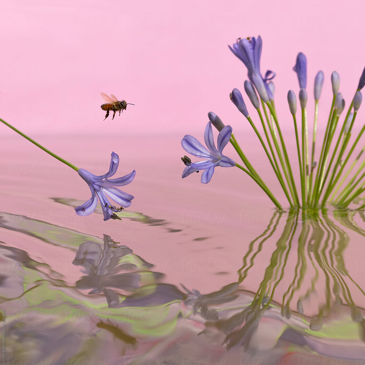 Bee flying towards flowers, psychedelic reflections.