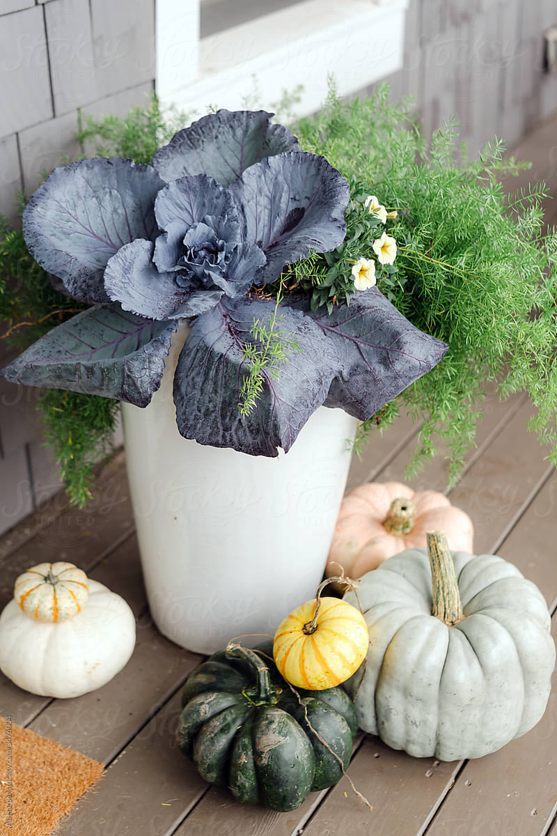 Southern fall front porch decor