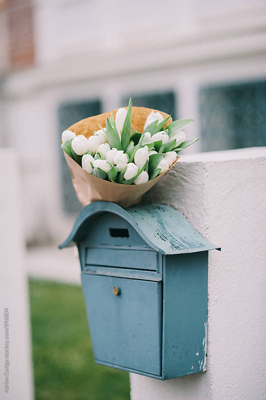 Flowers bouquets; Bouquet of white tulips in the mailbox