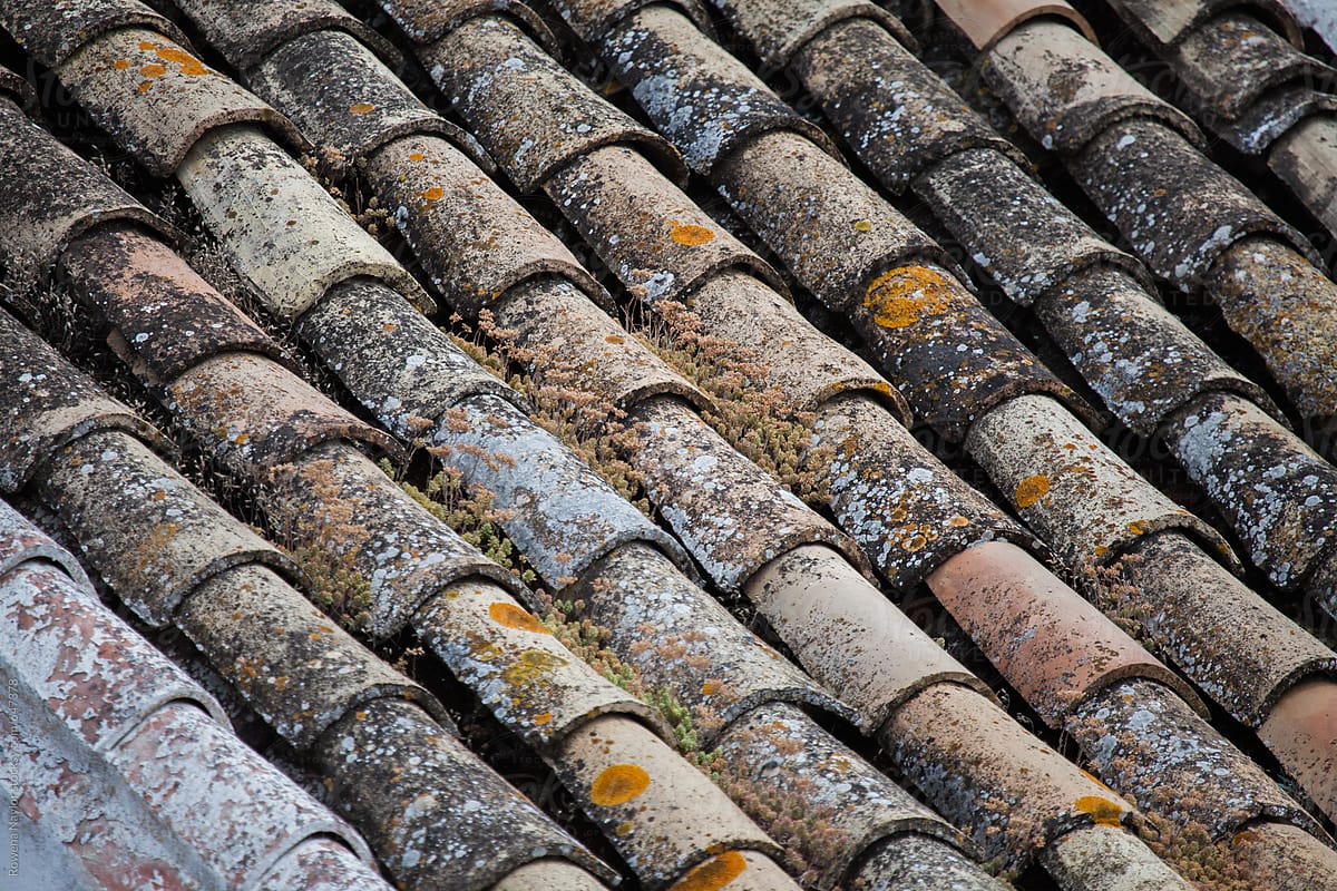 Rooftops In Spansih Village Of Olvera By Rowena Naylor
