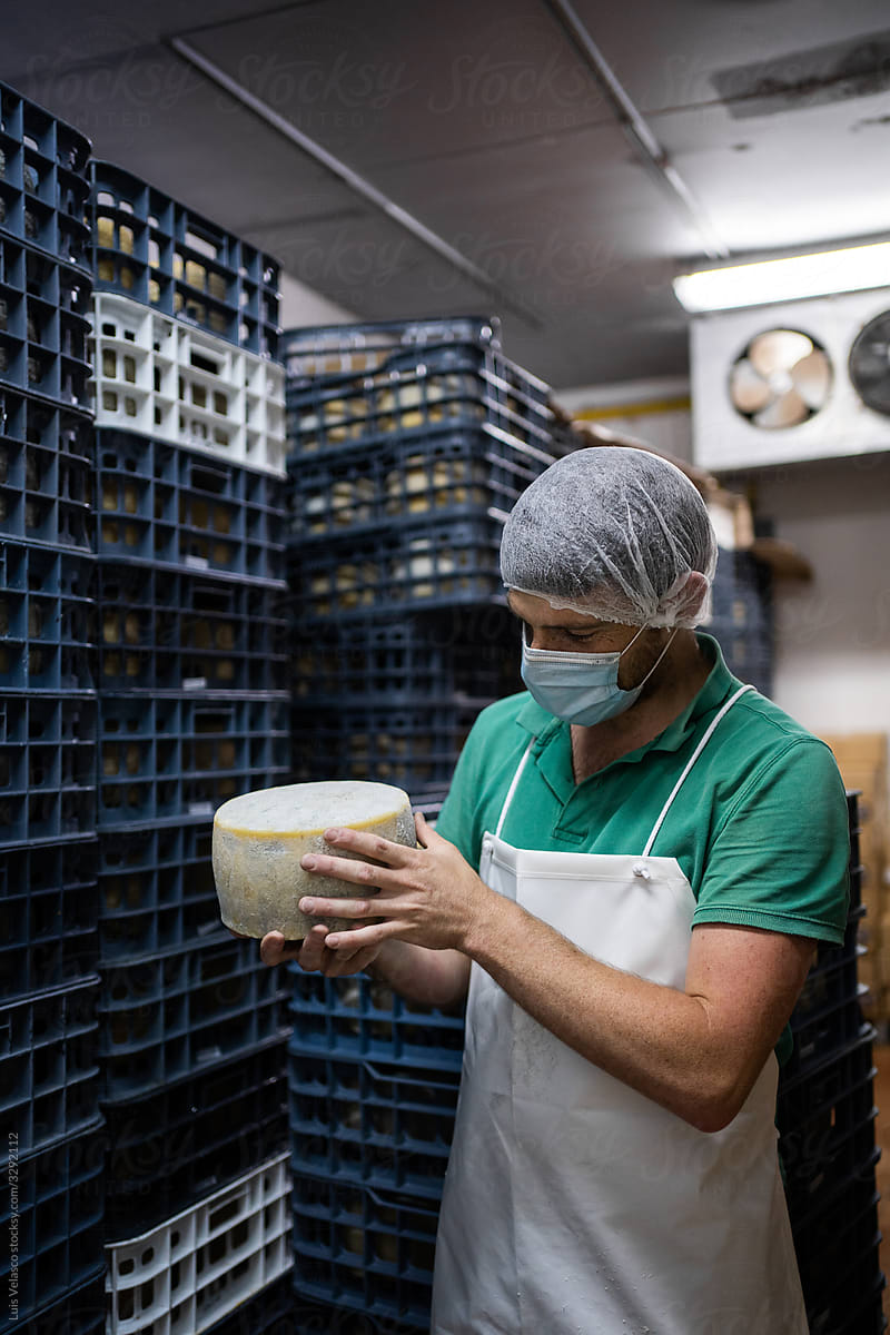 Man With Mask Checking The Quality Of A Cheese.