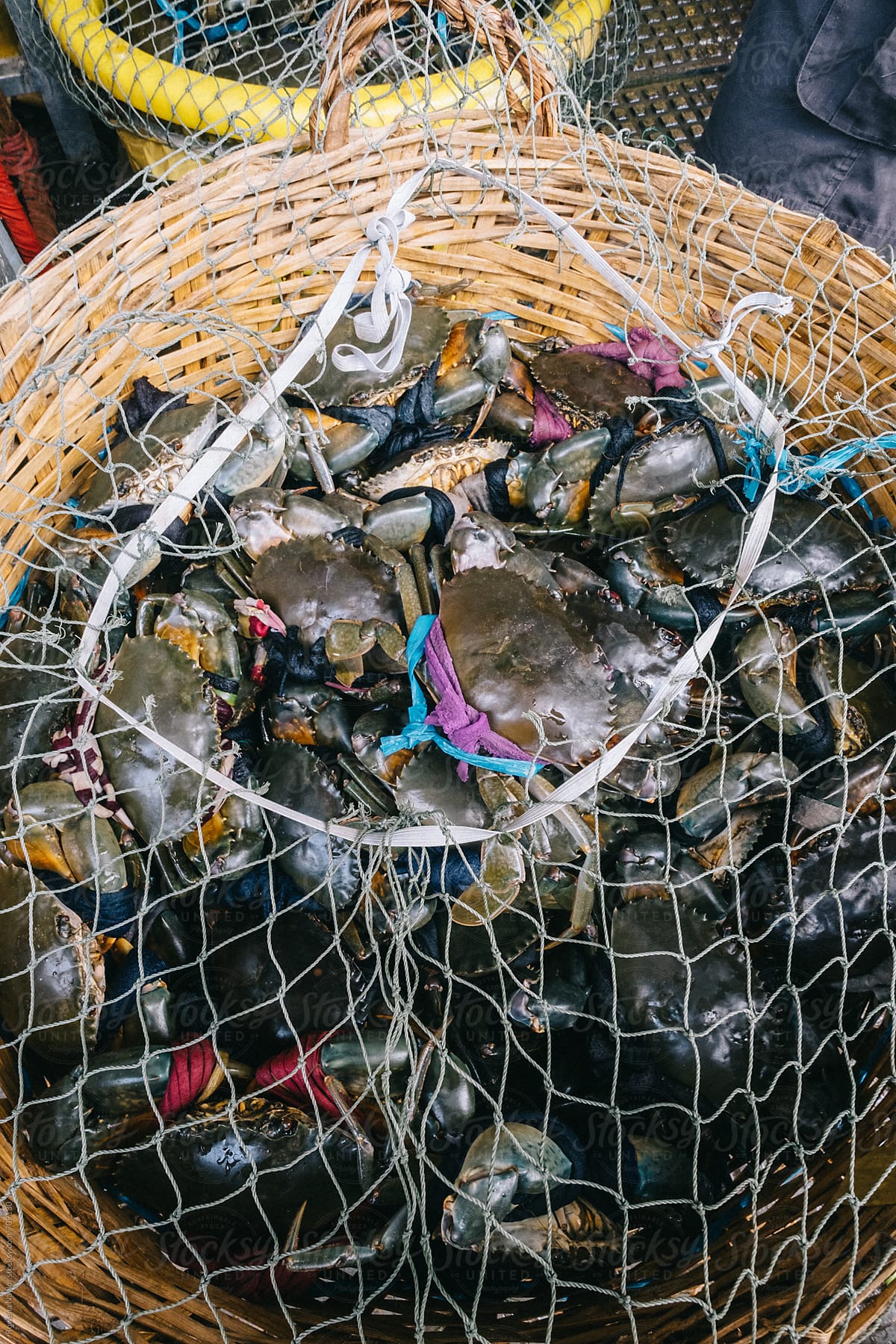 Fresh crabs at street market, Cambodia