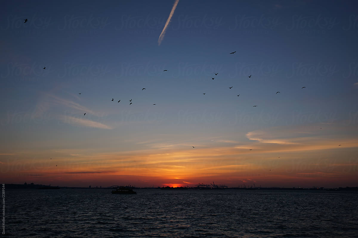 An orange sky sunset meets the water as a flock of birds cross the frame