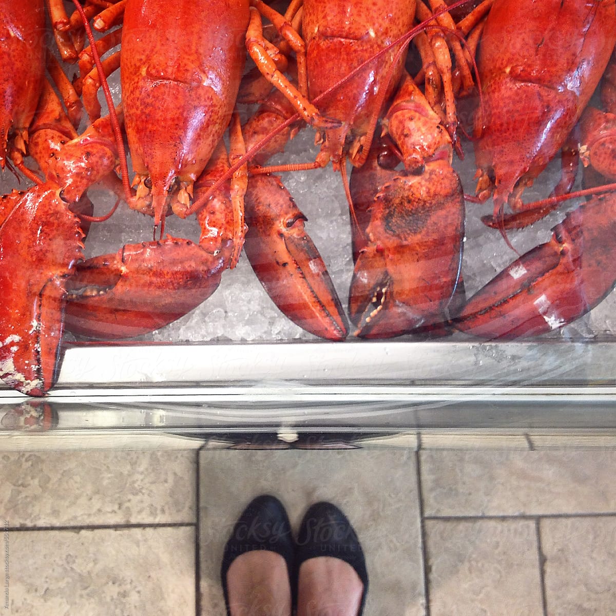 looking down at a freezer of lobsters