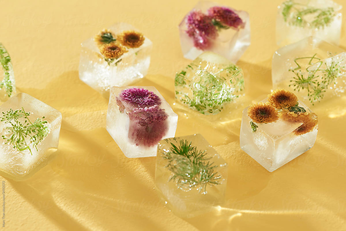 Frozen flowers in ice cubes on yellow background