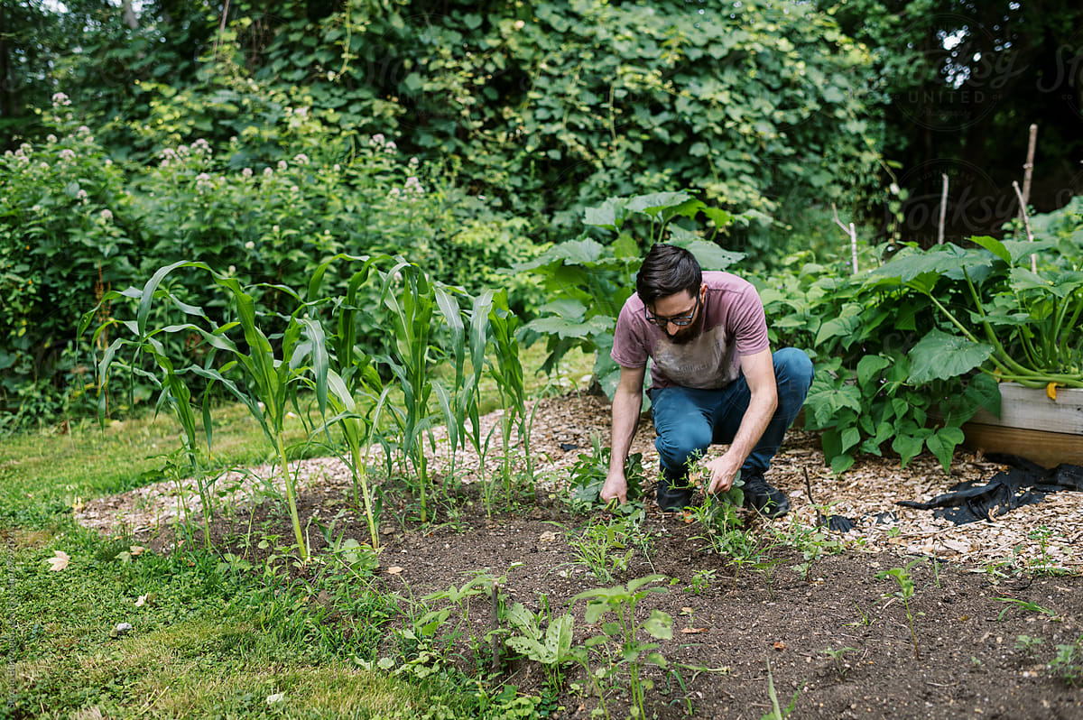 young man pulling weeds in preparation for planting