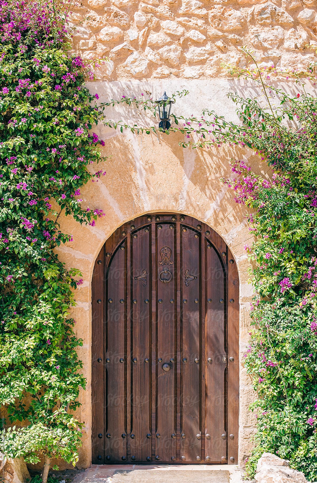 Wooden door on a rustic house - villa surrounded by colourful flowers