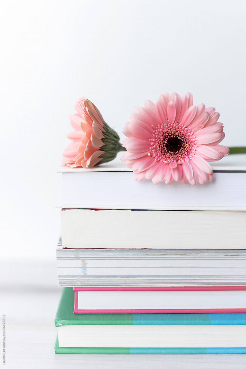Pink flower on stack of books