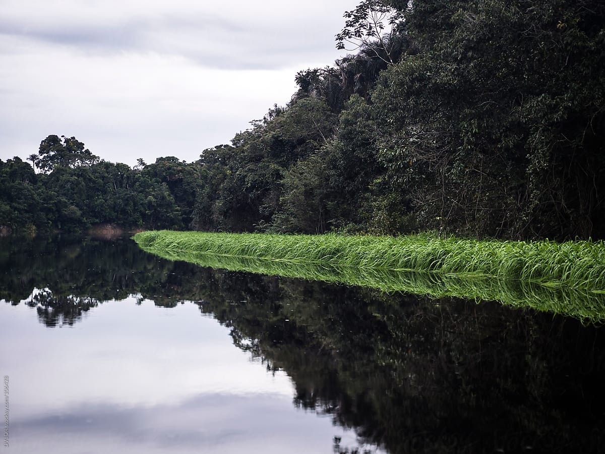 Tributary off the Amazon - Rio Negre river, Brazil