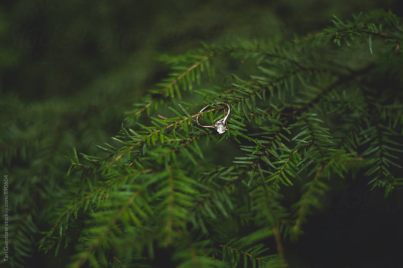 Diamond ring in forest