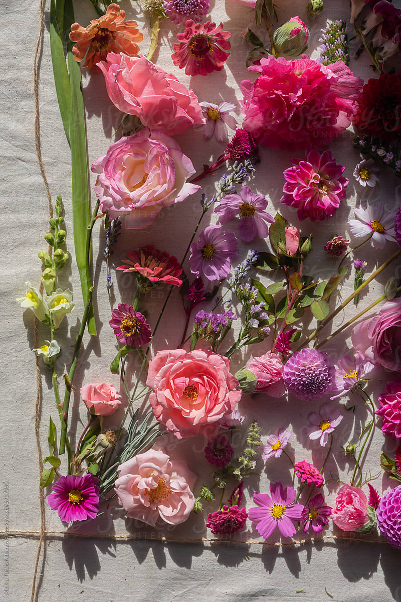 vibrant pink flat lay of flowers