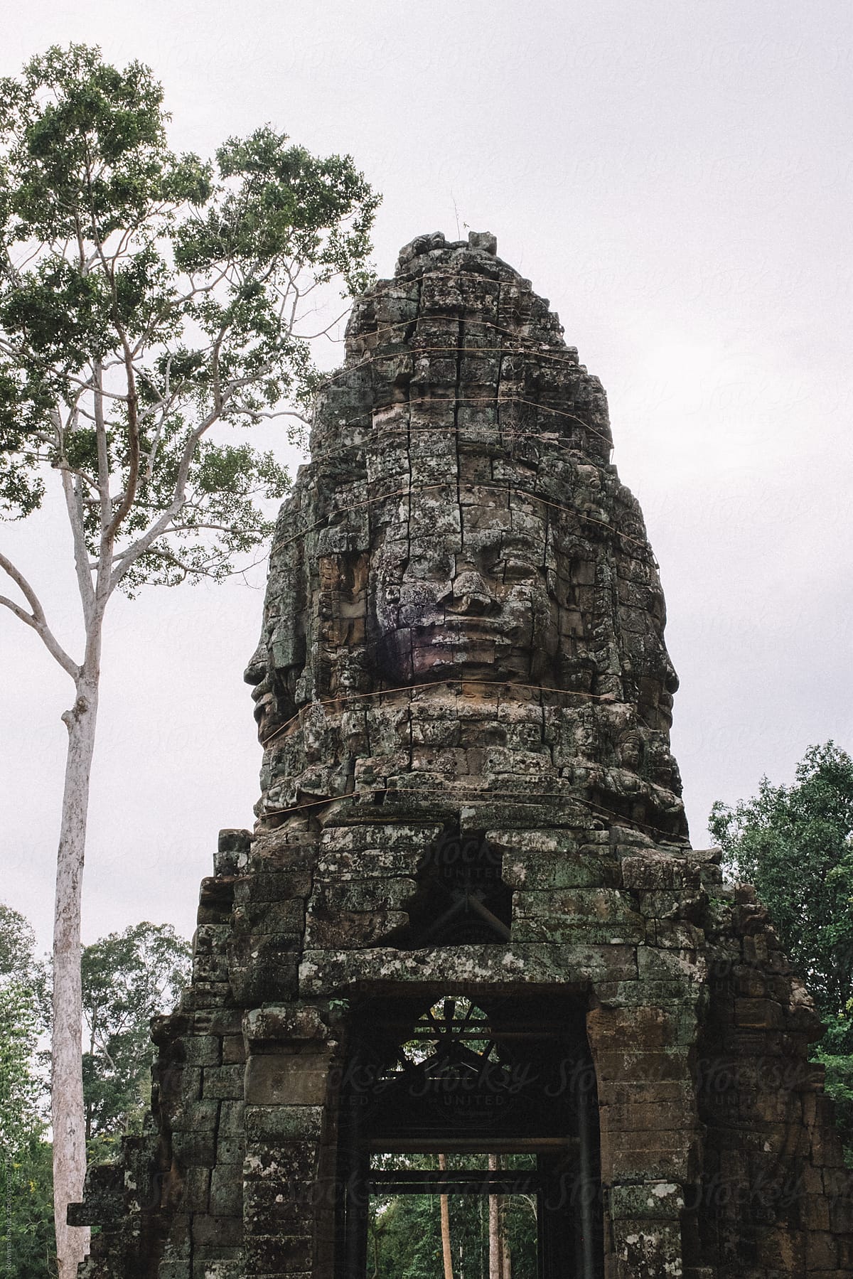 Ta Prohm Temple, aka Tomb Raider Temple, Siem Reap,  Cambodia