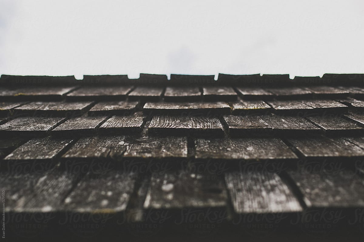 Wood panel shingle roof on coastal house