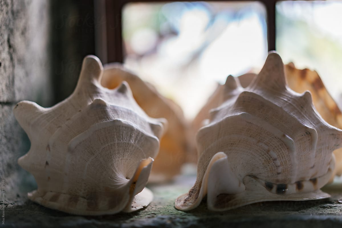 conch shell beside window,El Nido, Philippines