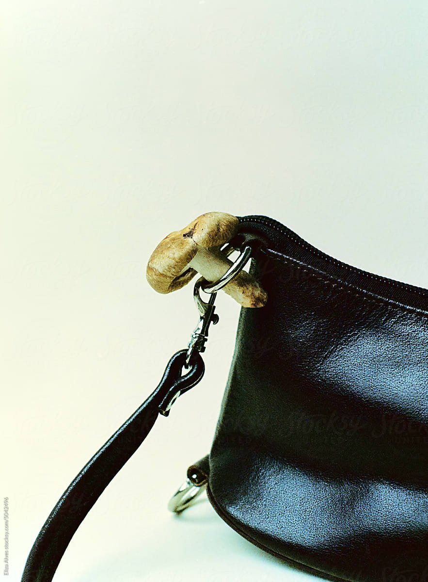 Mushroom in a handbag still life