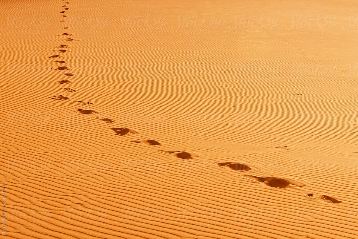 Footprints in a sand dune in Sahara desert. Erg Chebbi, Merzouga, Morocco