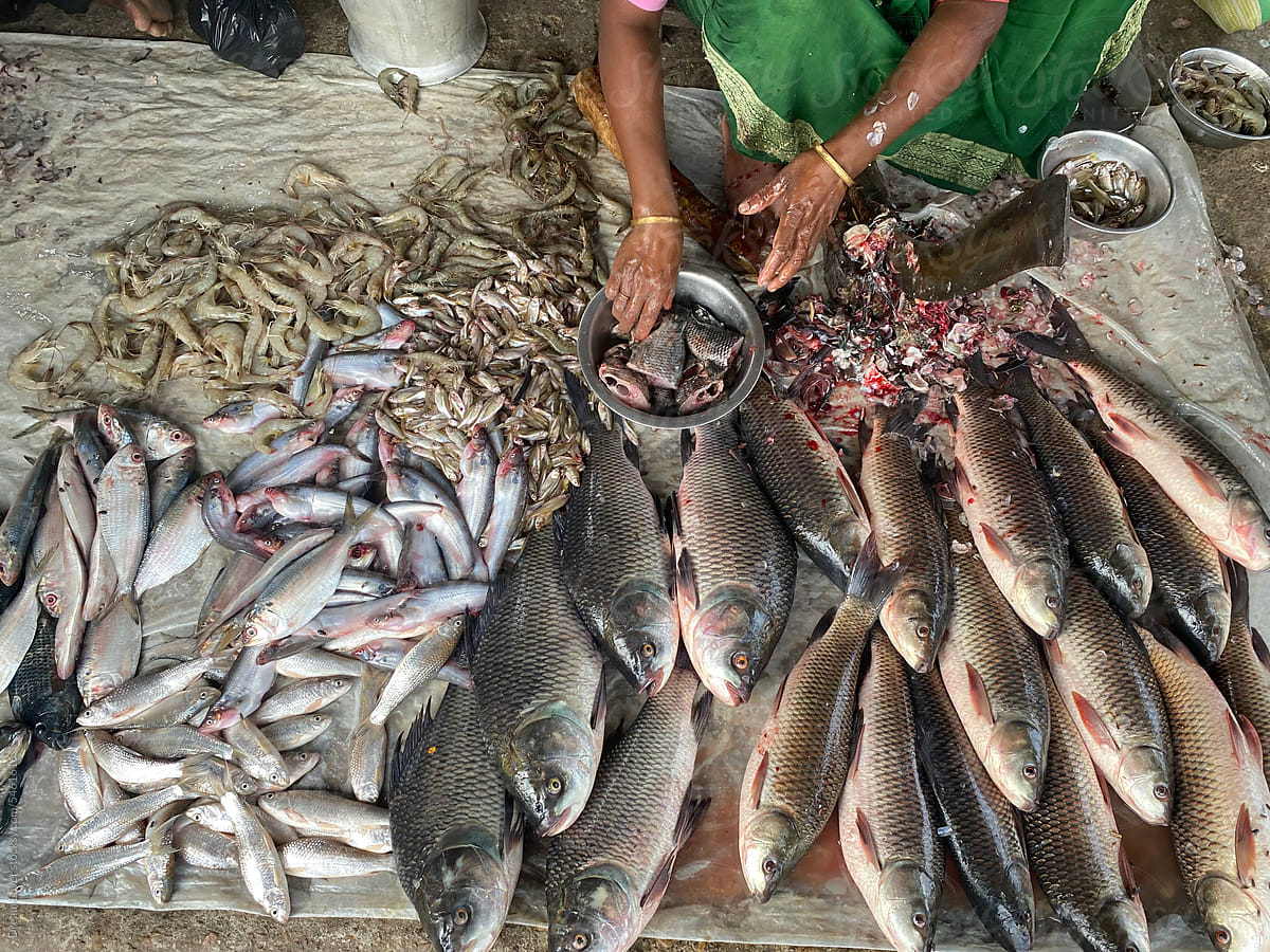 Fishes are stacked in a retail shop and selling to customers