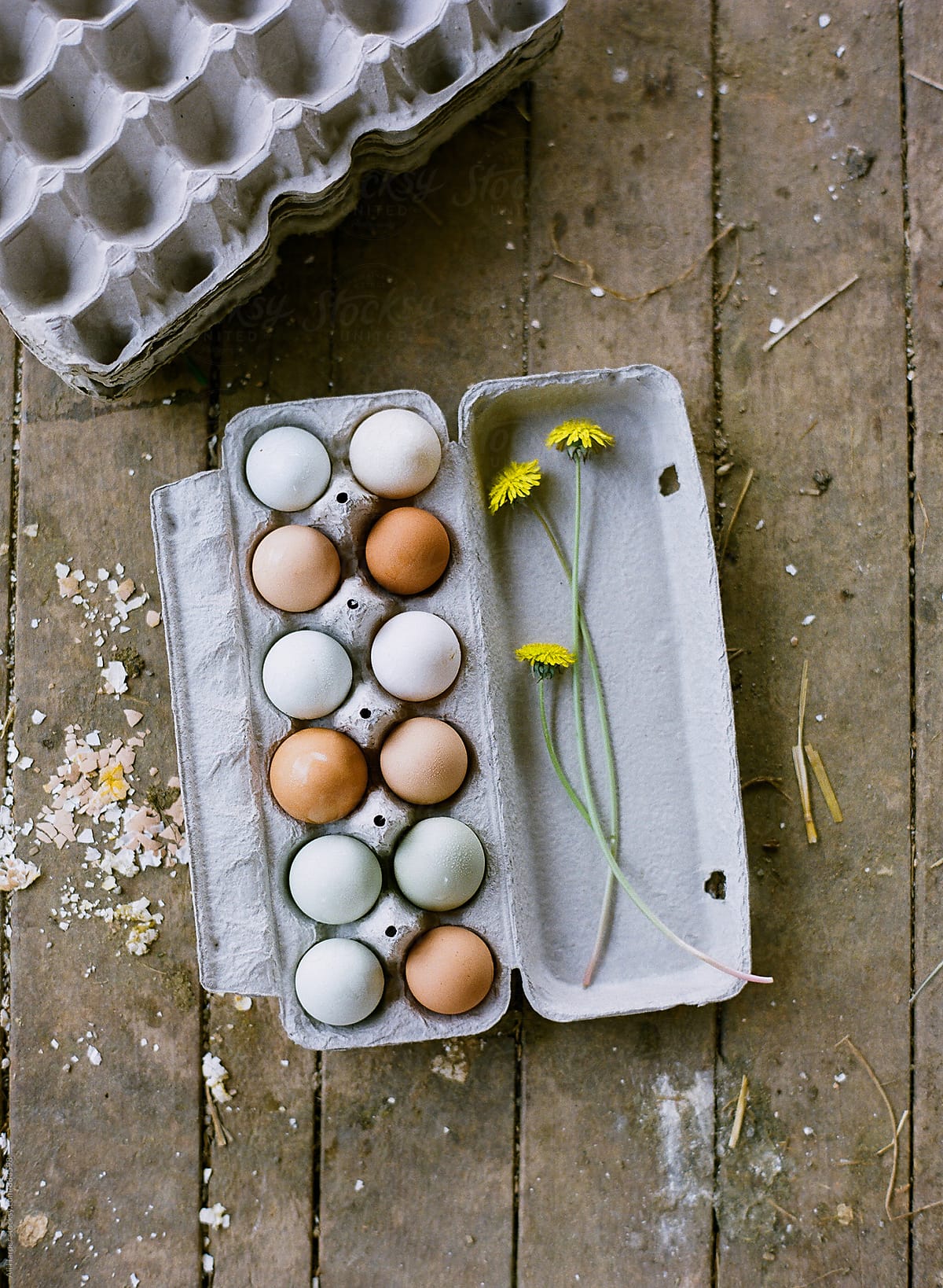 Colorful free-range, organic chicken eggs in carton