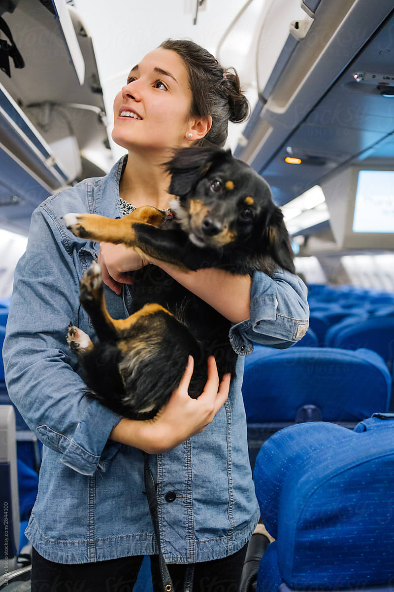 Passenger Holding A Dog In The Corridor Of A Plane.