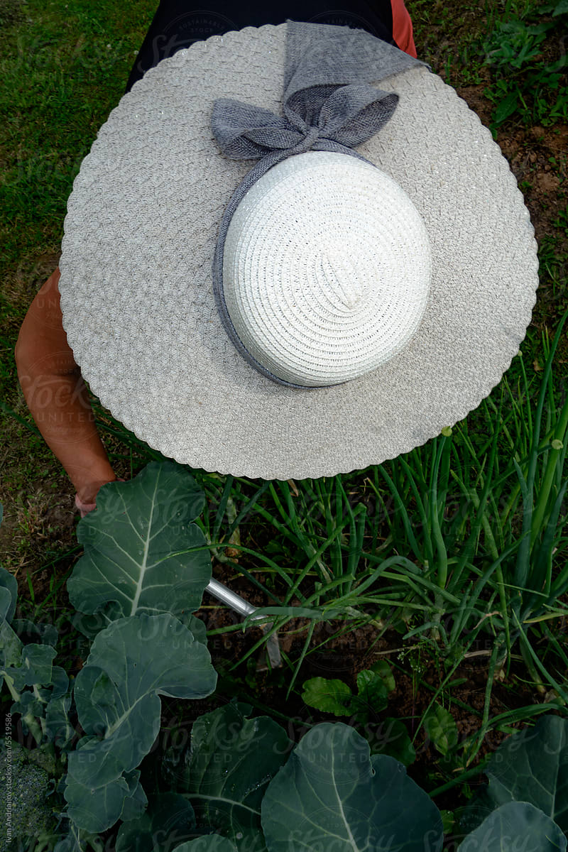Woman In Sun Hat Garden Work Activity In Summer