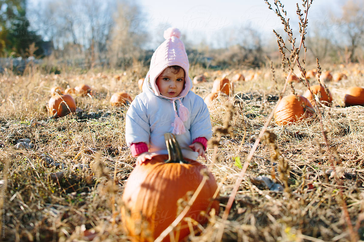 Little girl in a pumpkin farm