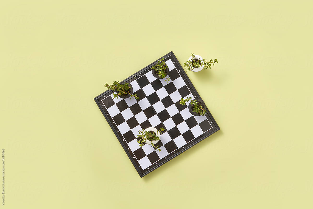 Potted plants placed on chessboard