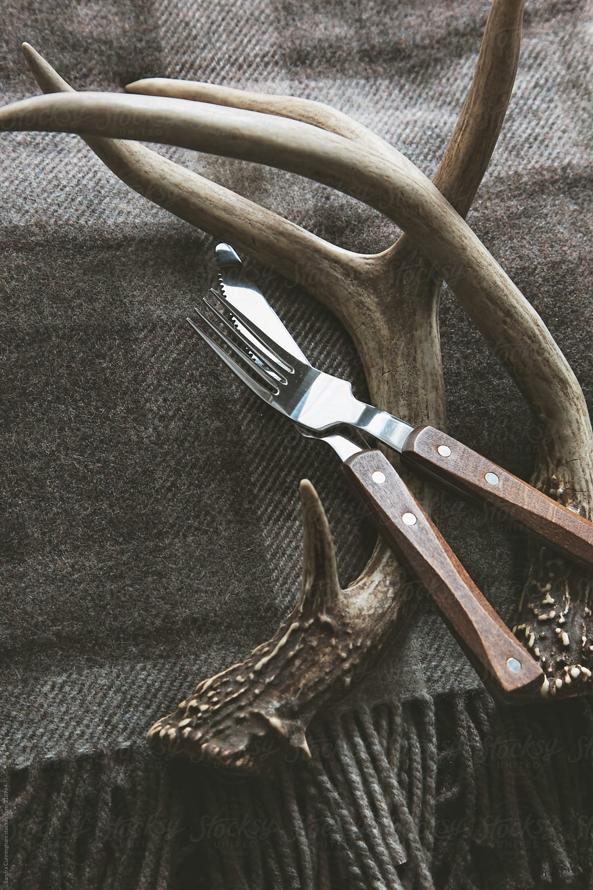 Deer antlers with utensils on plaid