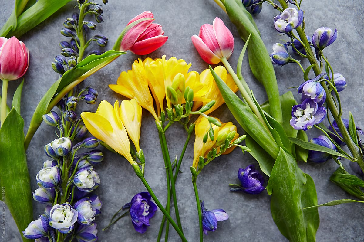 Still Life of colorful Spring Flowers