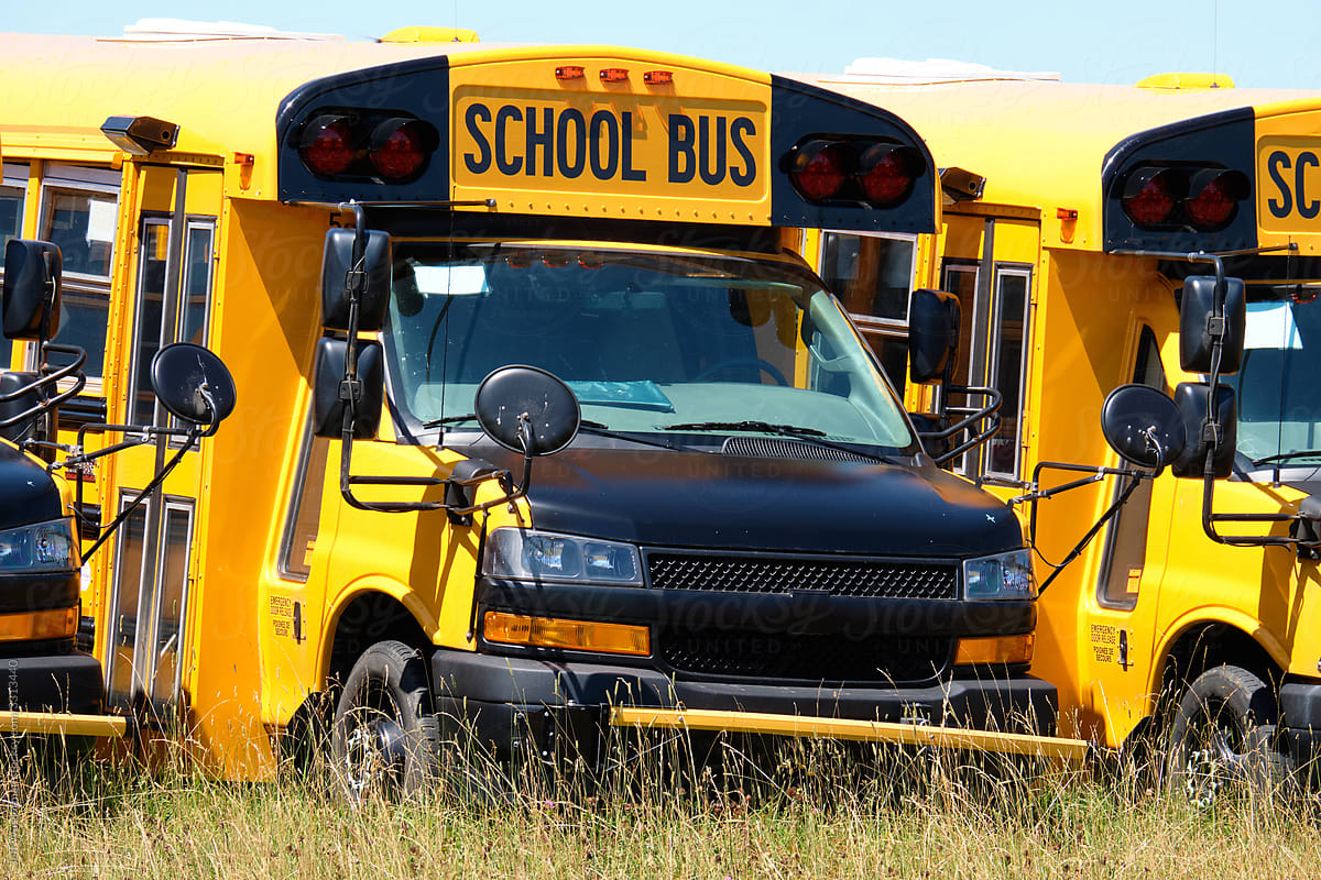 School Buses in Row