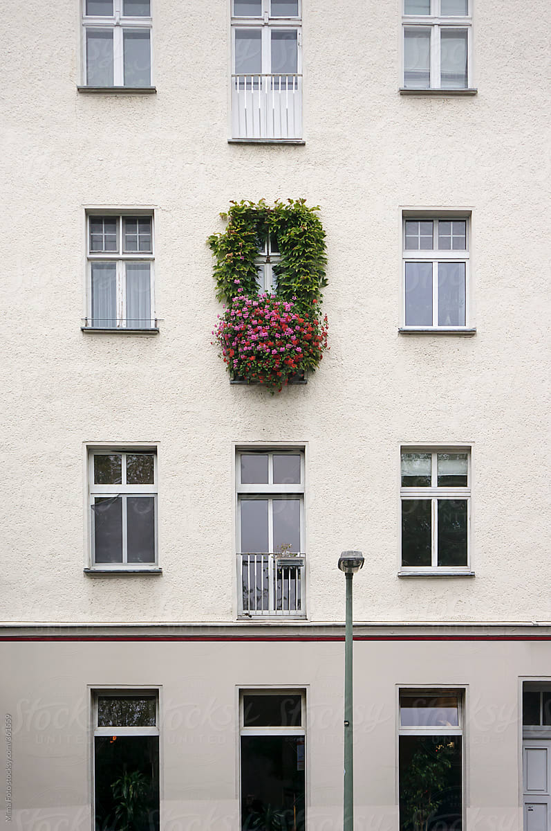 Flower and plant framed appartment window