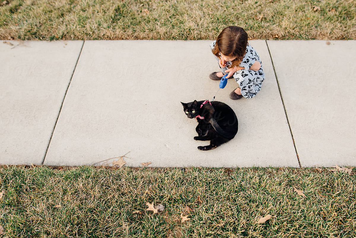 Young girl walking black cat on leash.
