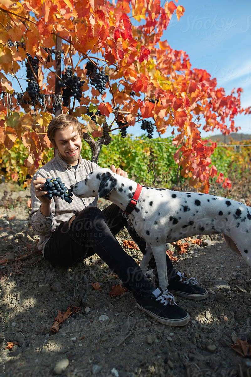 Smiling man and his dog in vineyard during fall season