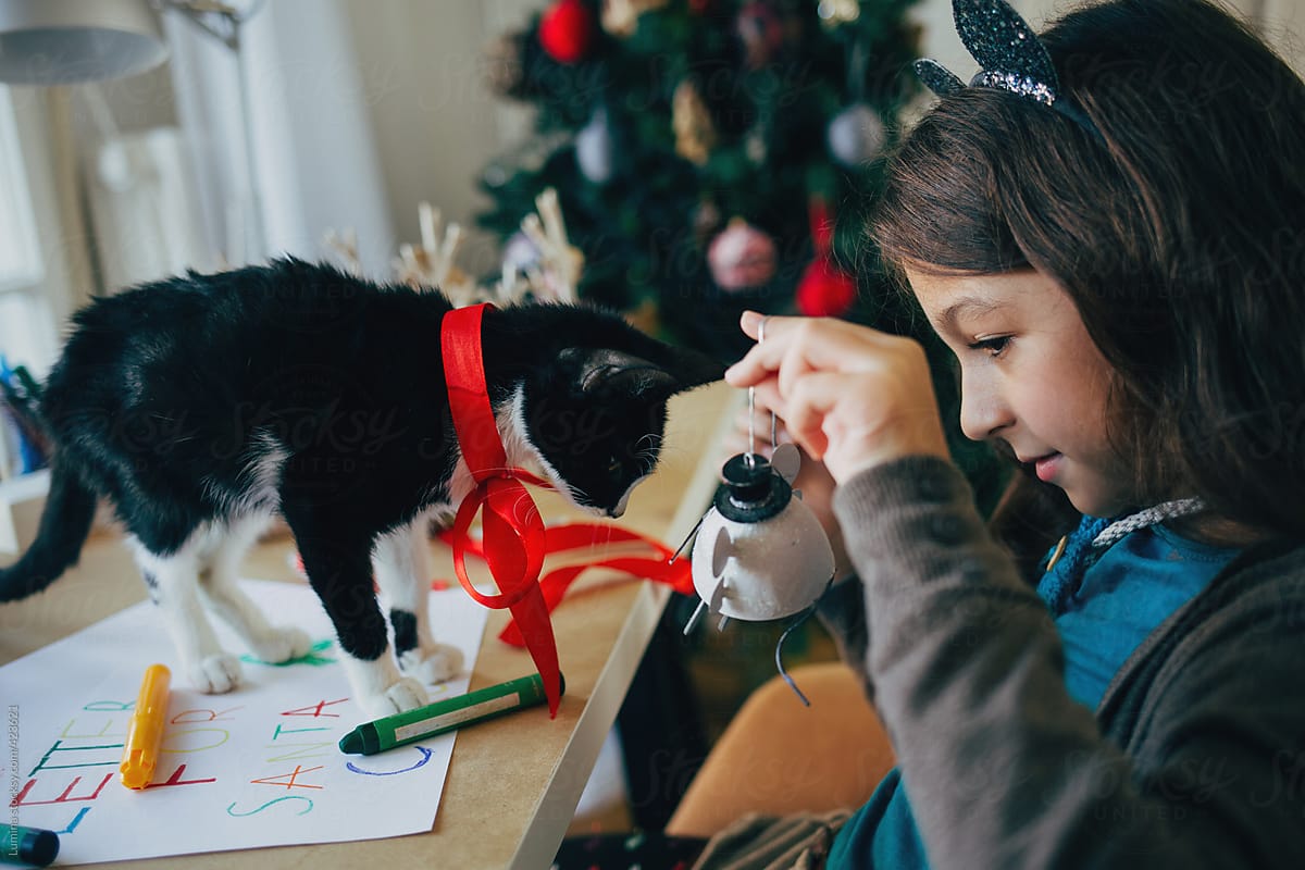 Girl Playing With Her Cat at Christmas