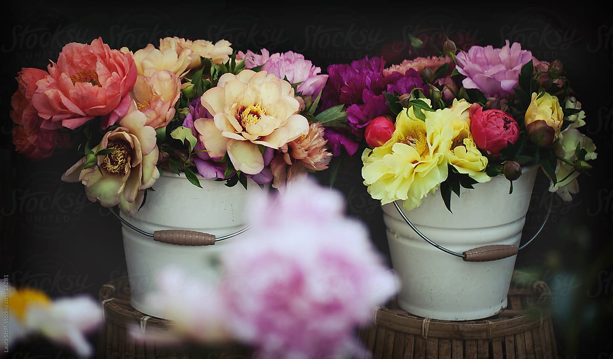 Colourful cut peonies bouquets in cans