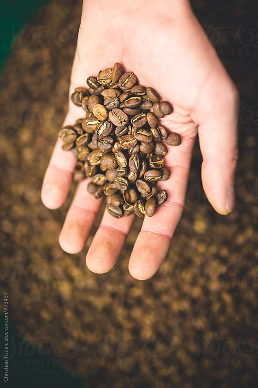 Hand holding freshly roasted coffee beans