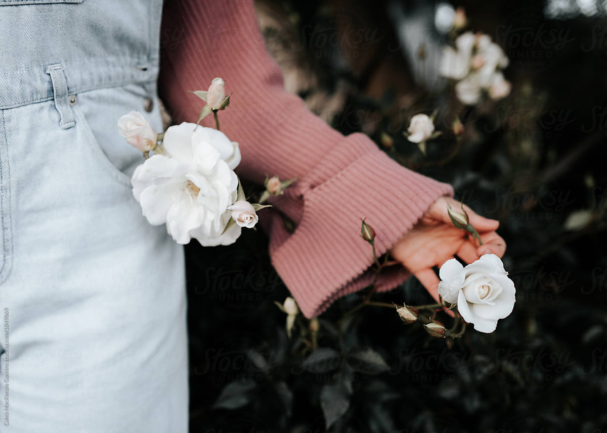Hand holding white flower
