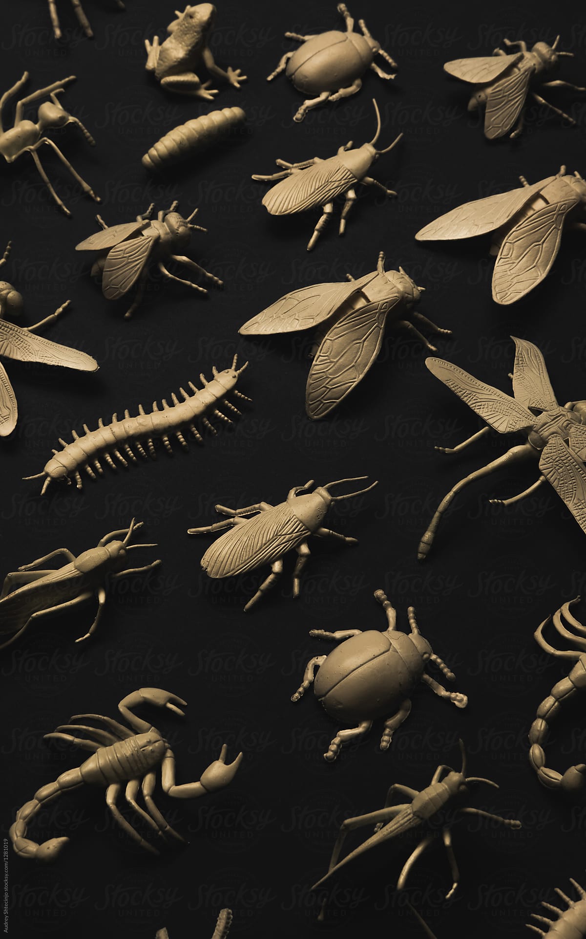 Insectorium/Collection Of Bugs/Insects.