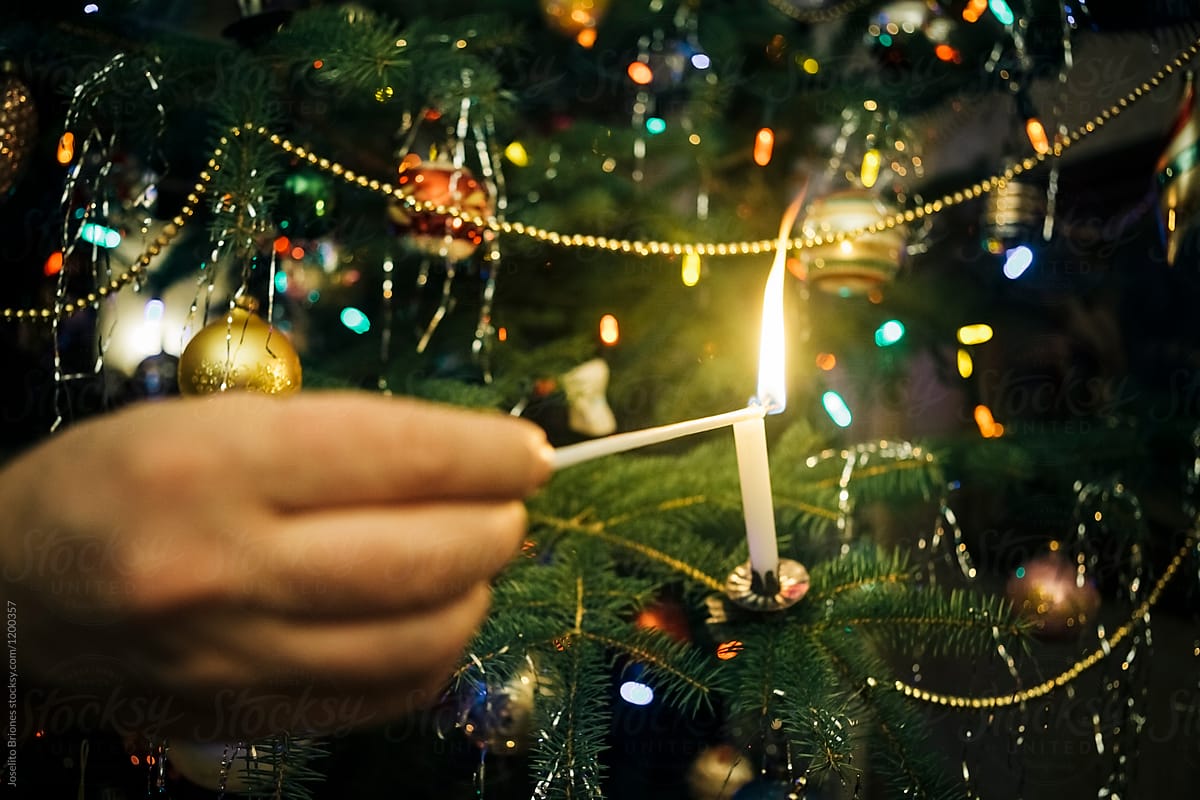 Merchandiser kommentator Forkortelse Traditional Candle Lights On Christmas Tree Decoration" by Stocksy  Contributor "Joselito Briones" - Stocksy