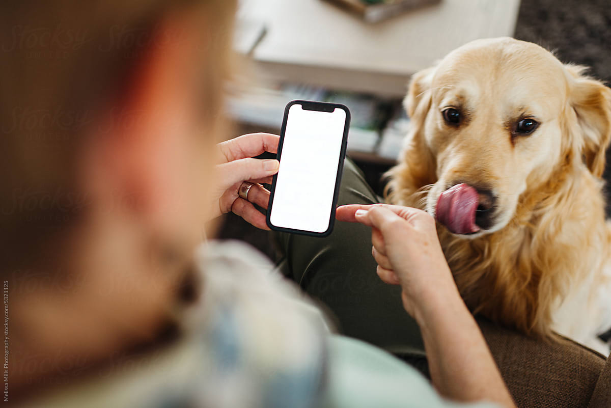 Mockup phone with white screen in woman\'s hands and dog next to her