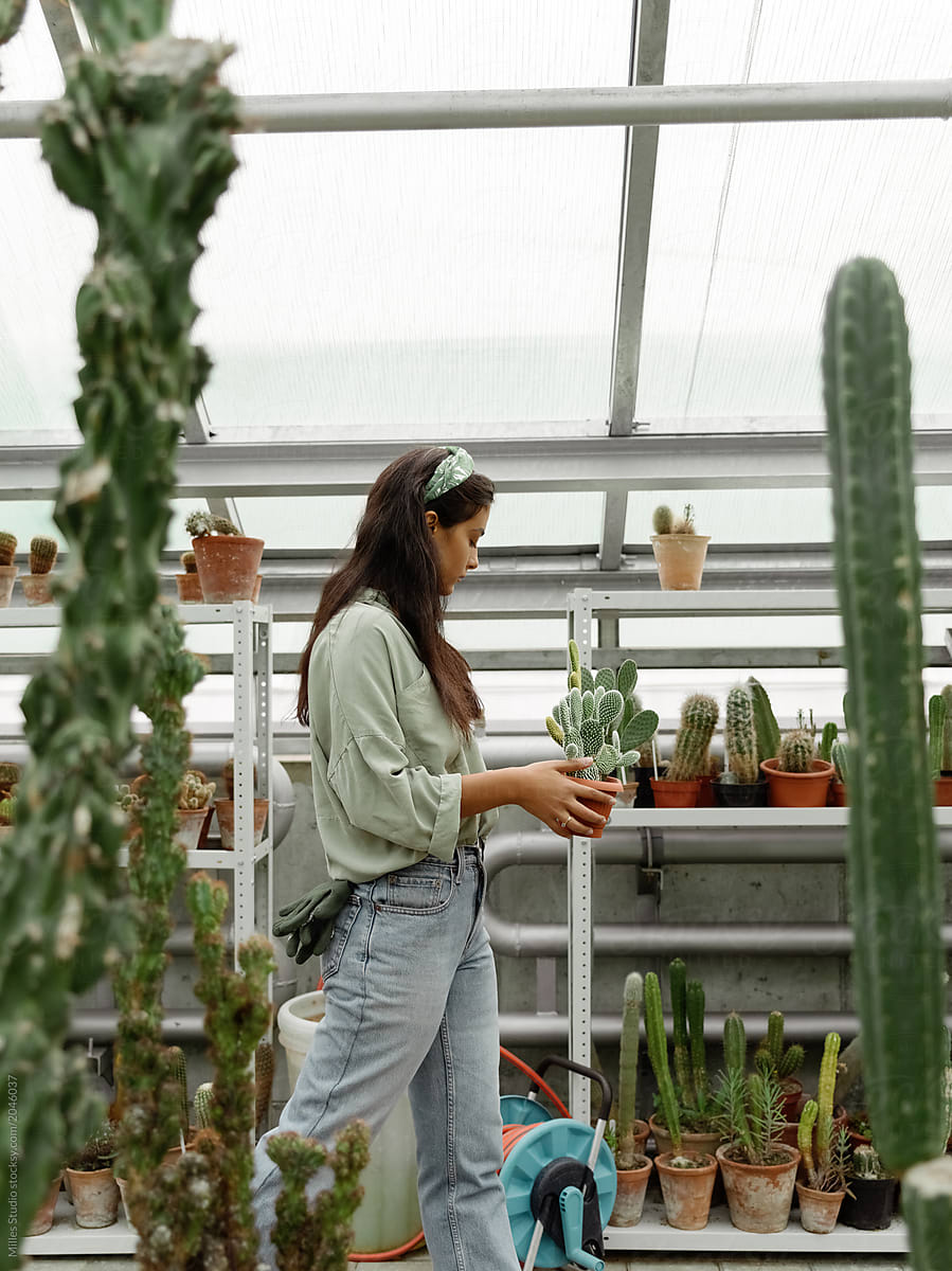 Girl working with green plants in hothouse