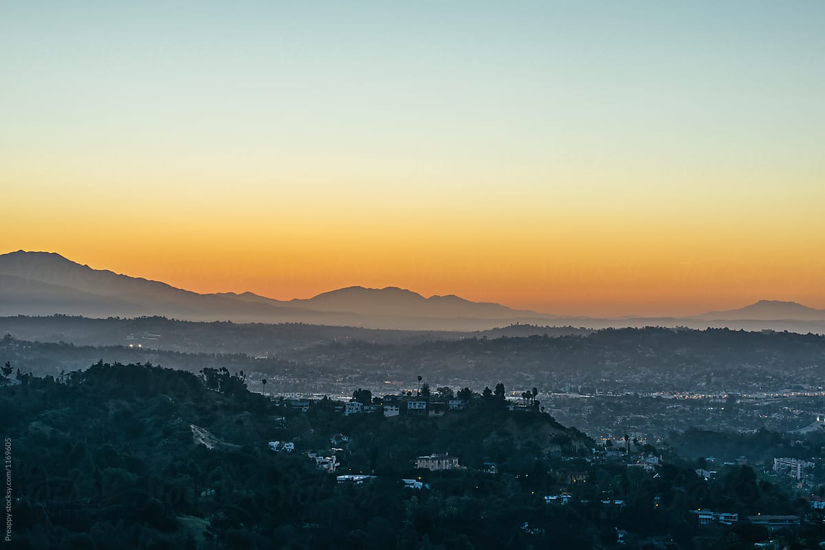 Hollywood hills