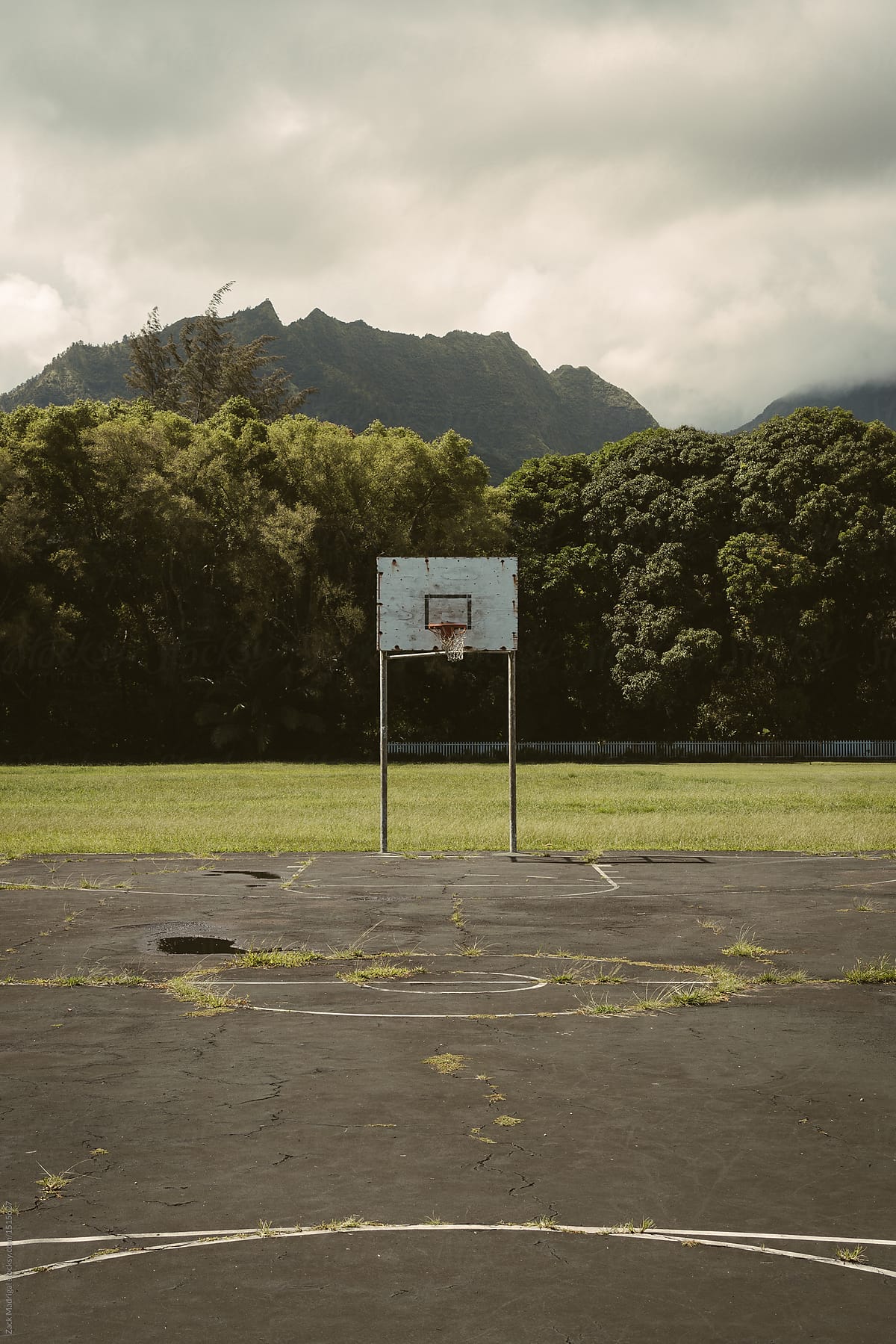 Empty Tropical Basketball Court by Stocksy Contributor Zack Madrigal