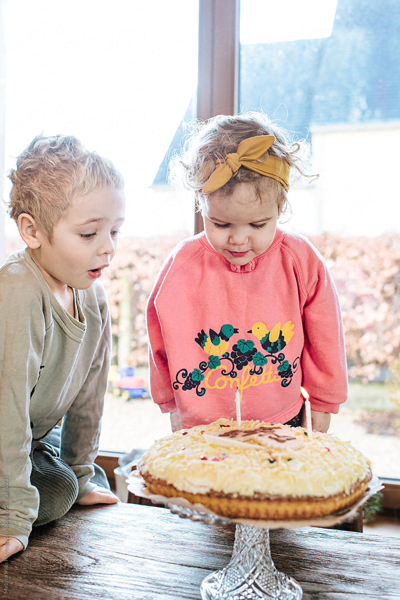 Birthday party for a 2 year-old girl with cake and candles