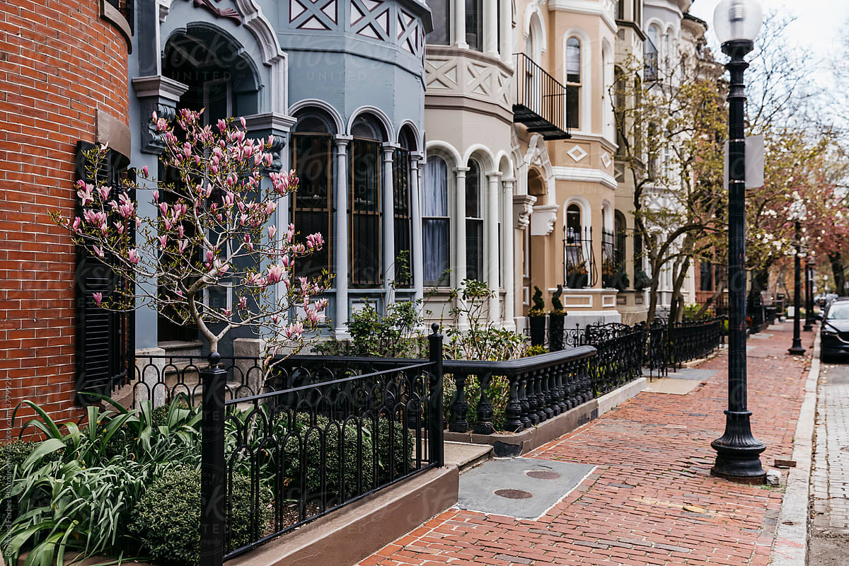 Boston Brownstones Architecture with Sidewalk and spring in bloom