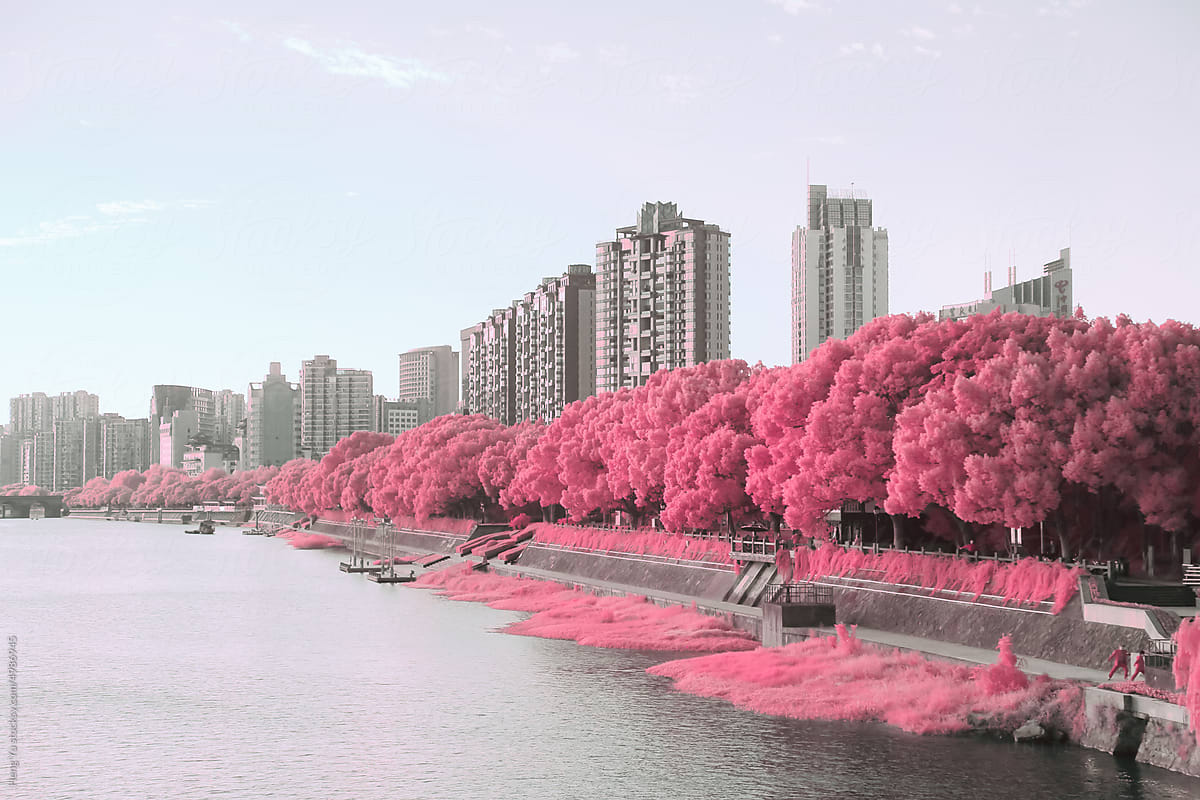 Infrared photography of cityscape by river